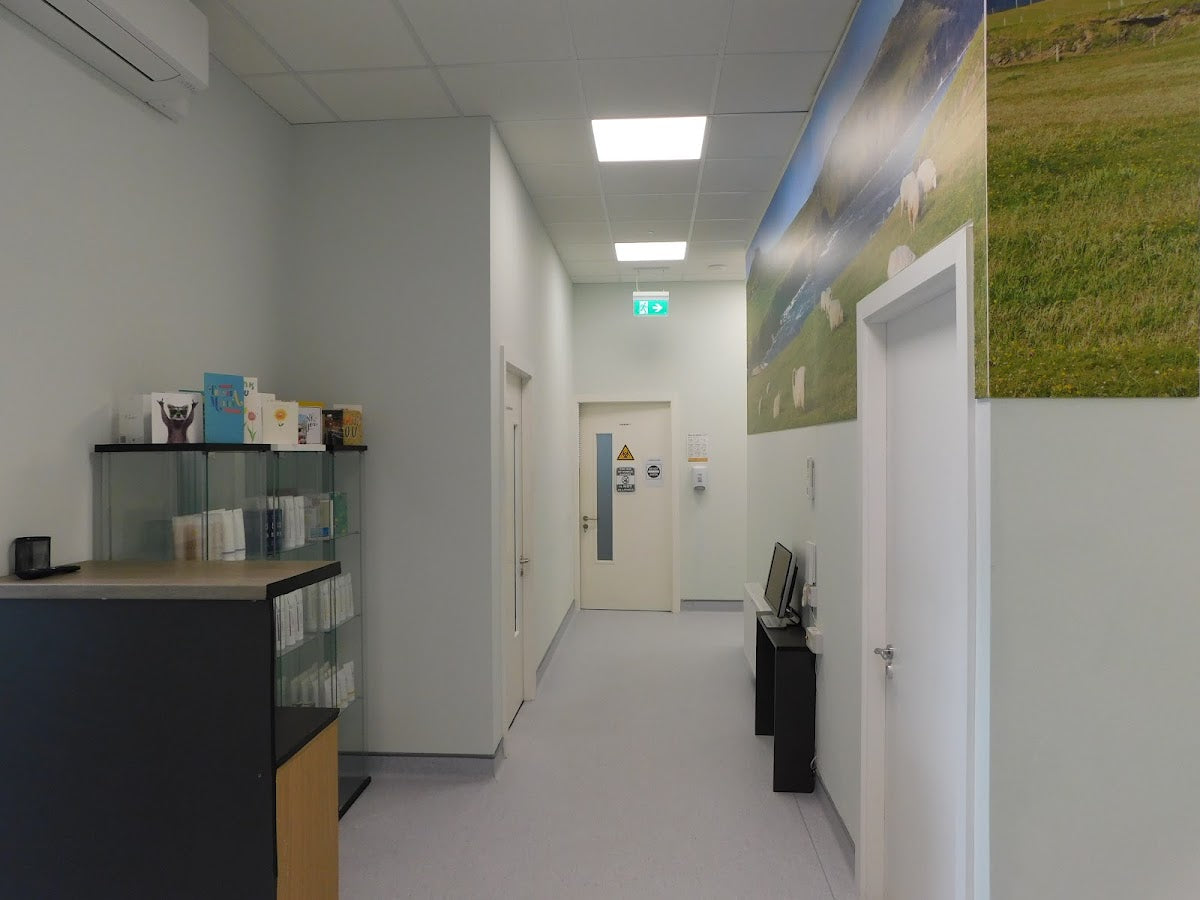Dr. André Nel Hair Transplant Clinic — Hair Transplant Clinic in Newry