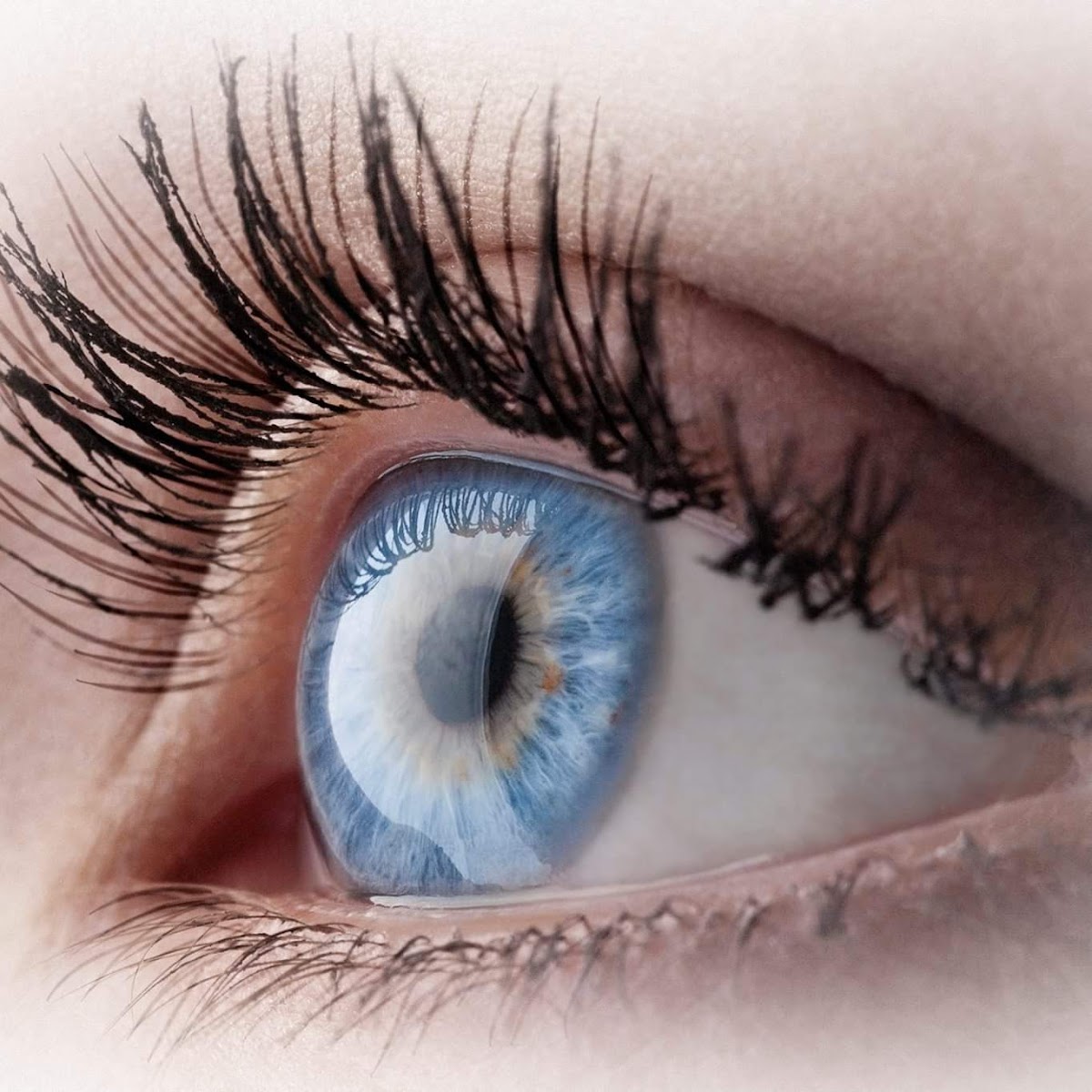 Community Eye Care of : North | Eye Clinic | Indianapolis, IN