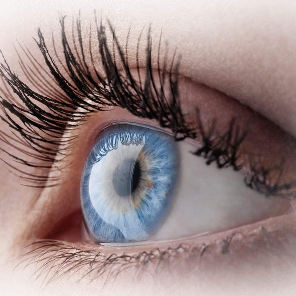 Community Eye Care of : North | Eye Clinic | Indianapolis, IN