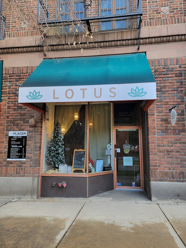 Lotus Laser and Skin Solutions | Hair Transplant | Helena, MT