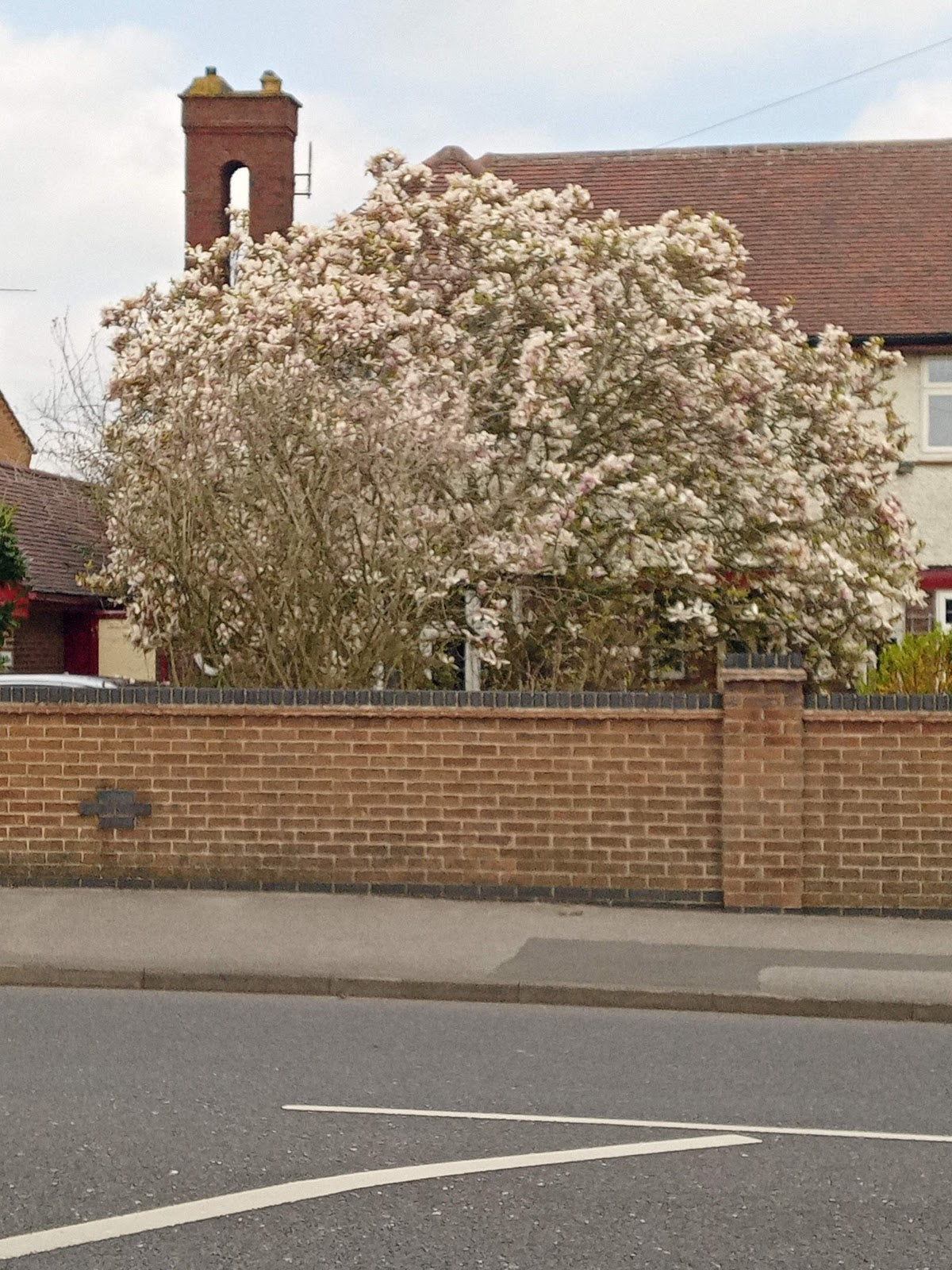 Westdale Dental - Dental clinic in Nottingham, United Kingdom