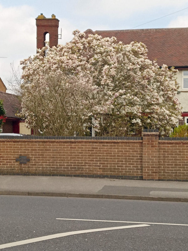 Westdale Dental | Dental | Nottingham