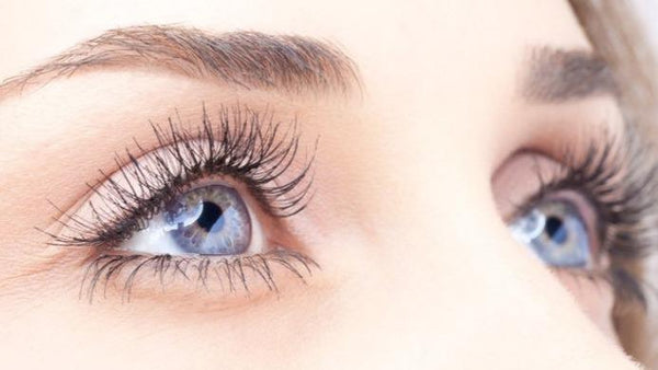 Tri-State Ophthalmology | Eye Clinic | Ashland, WV