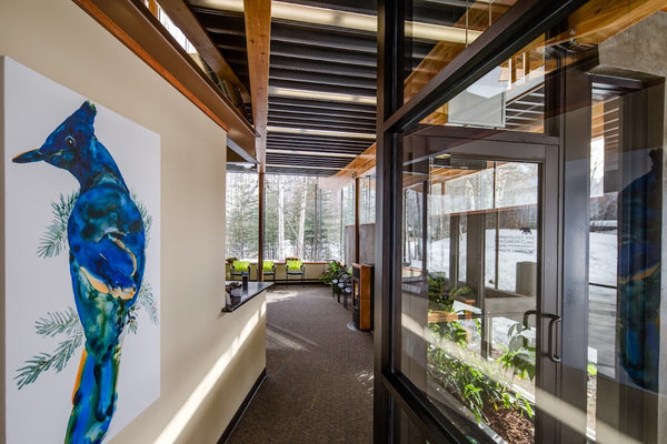 Dermatology & Skin Cancer Clinic of | Hair Transplant | Soldotna, AK