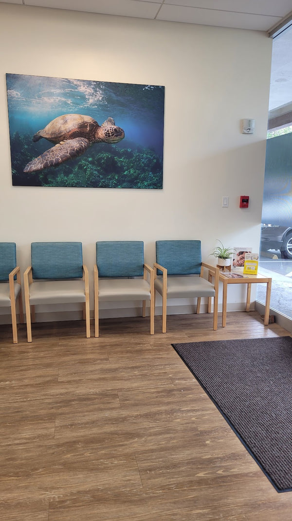 Dental Care | Dental | Kailua, HI
