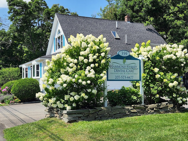 Hammond Street Dental Care | Dental | Bangor, ME