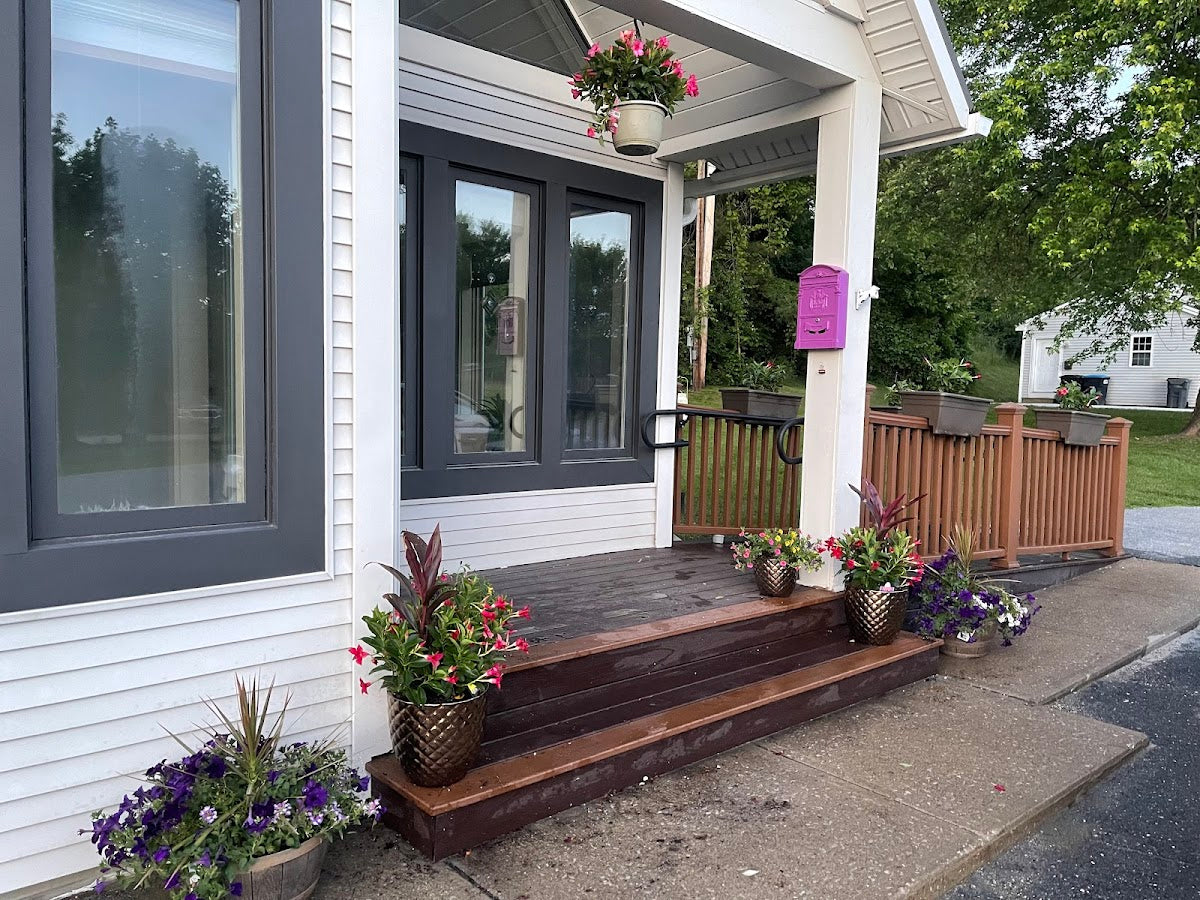 Healing Light Aesthetics | Hair Transplant | Rutland, VT