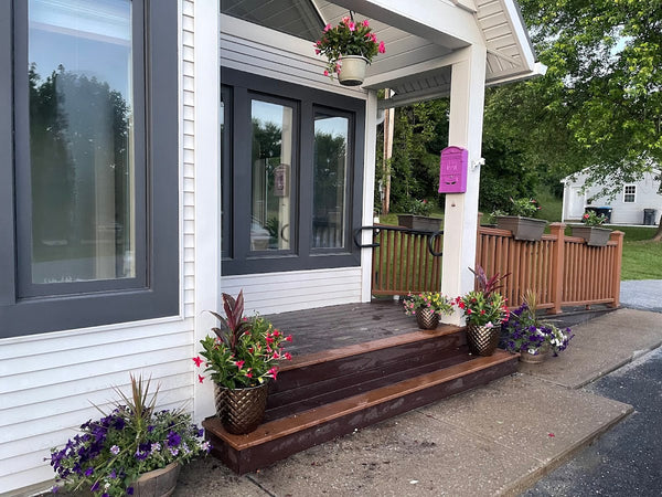 Healing Light Aesthetics | Hair Transplant | Rutland, VT