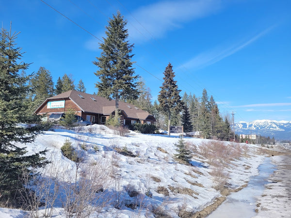 Whitefish Plastic Surgery and Medspa | Aesthetic Surgery | Whitefish, MT