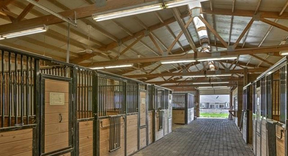 Center for Equine Reproduction | IVF | Lawrence, KS