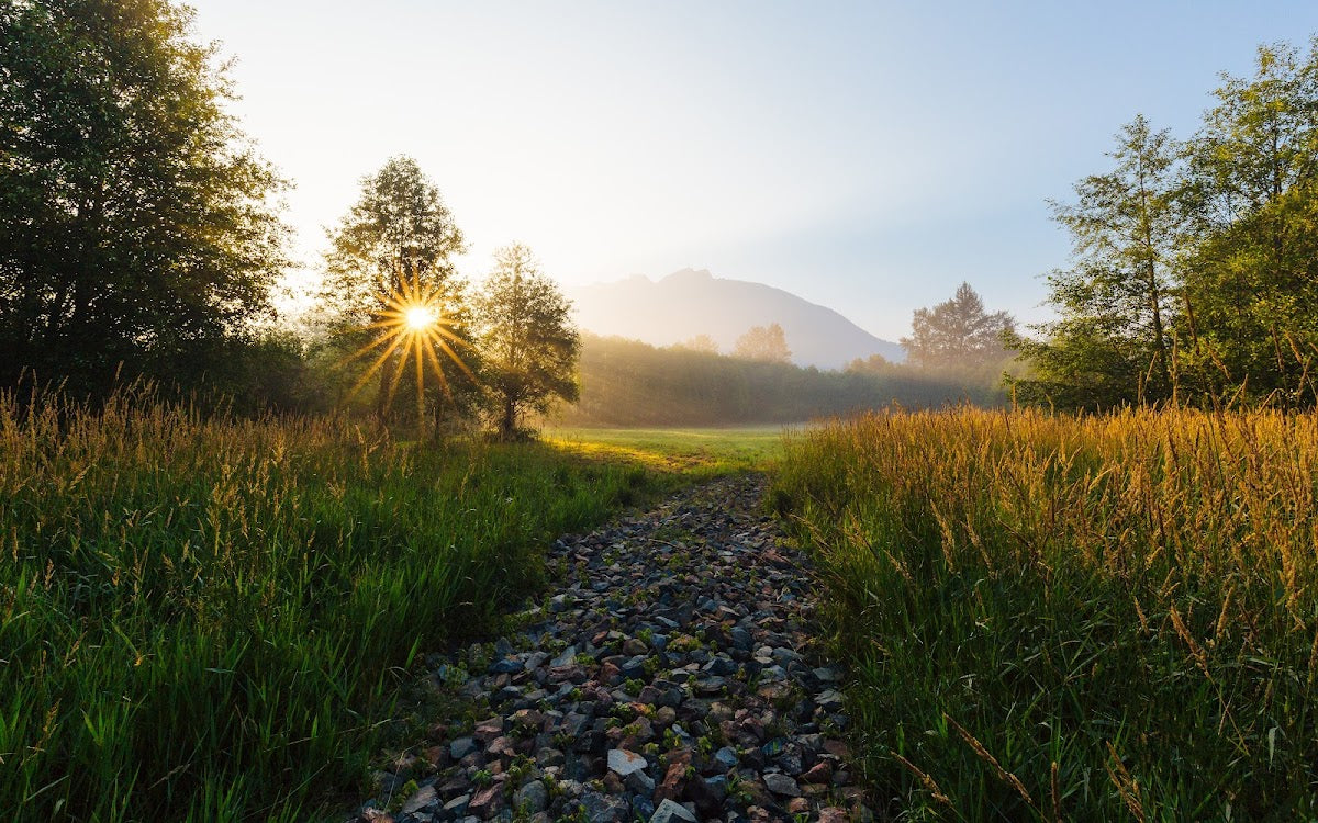 Youth & Vitality Weight Loss Center | Bariatric Surgery | Bellevue, NE
