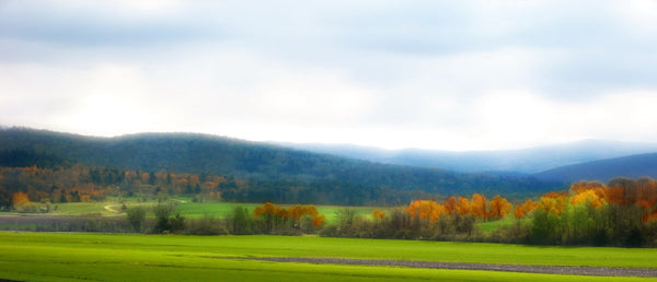 DuBOFF DENTISTRY | Dental | Rutland, VT