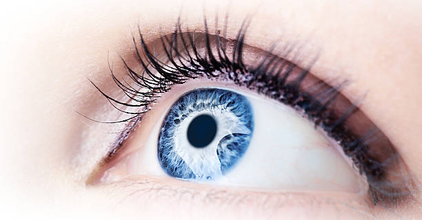 Eye Doctors of , Inc. - Robert D. Bales, MD | Eye Clinic | Norman, OK