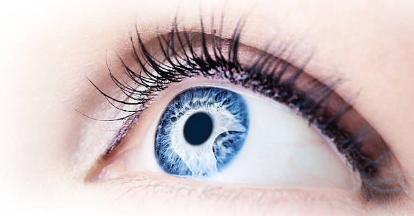 Eye Doctors of , Inc. - Robert D. Bales, MD | Eye Clinic | Norman, OK