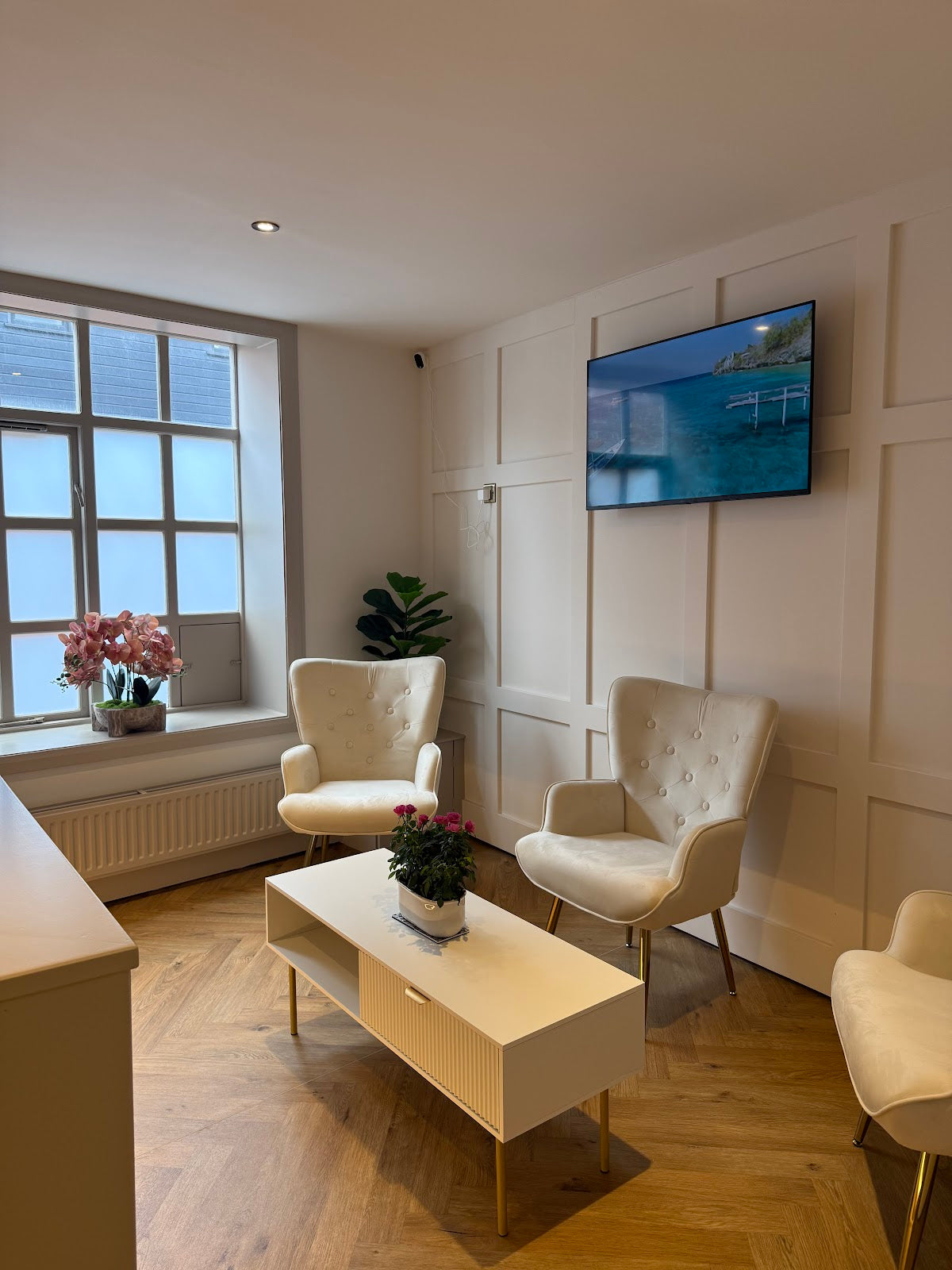 MonaCo Medical — photo 3
