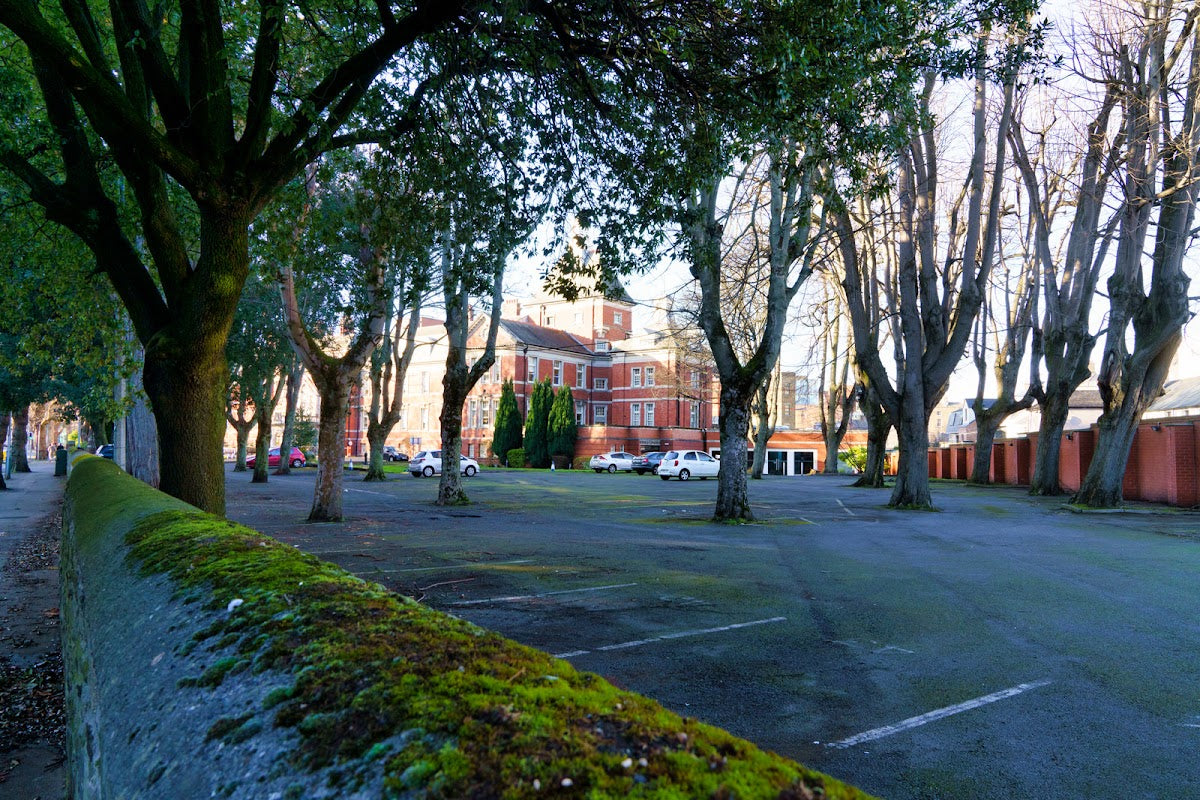 Royal Victoria Eye and Ear Hospital Dublin — Dr.Visor photo 5