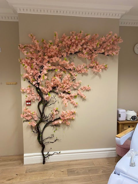 H Ross Aesthetics - Hair Transplant clinic in Leicester, United Kingdom