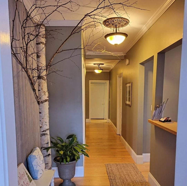 Beauty Saint Aesthetics | Aesthetic Surgery | Lewiston, ME