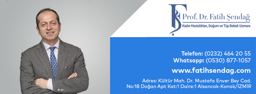 Prof. Dr. Fatih Şendağ | Tüp Bebek ve İnfertilite Tedavisi — Dr.Visor photo 2