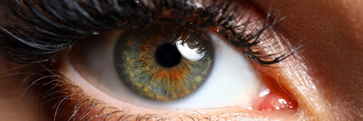 Optimal Vision Clinic — Dr.Visor photo 4