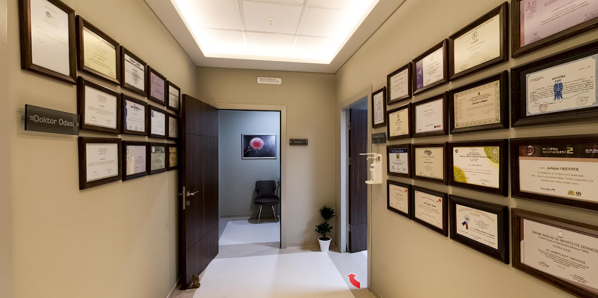 Soranus IVF Center — Dr.Visor photo 4
