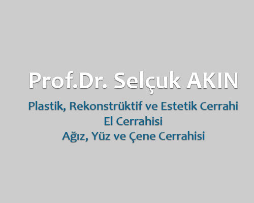 Prof. Dr. Selçuk Akın — Dr.Visor photo 2