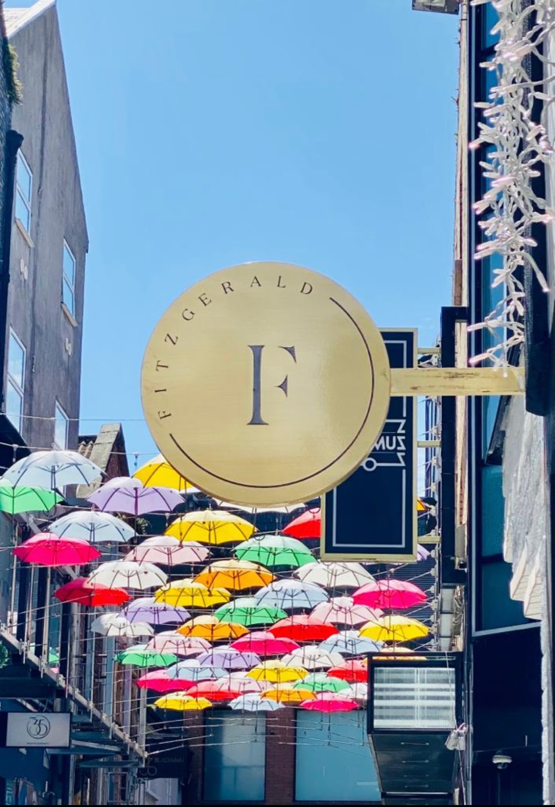 Fitzgerald Private Clinic Dublin — Dr.Visor photo 4