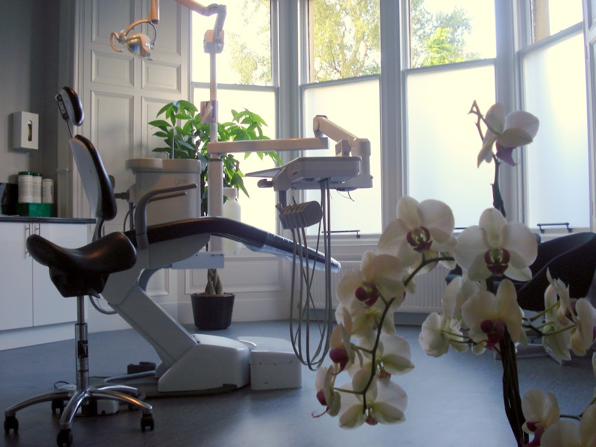 Southside Dental Care — Dr.Visor photo 2