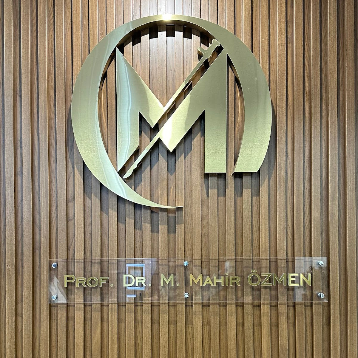 Prof. Dr. Mahir Özmen — Dr.Visor photo 3