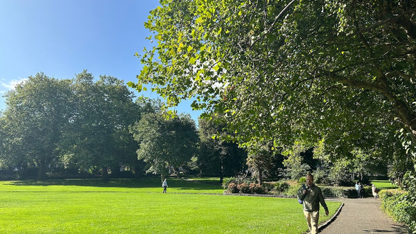 Merrion Square Dental