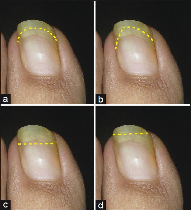 Op. Dr. Feza Köylüoğlu - Ortopedi Uzmanı — Dr.Visor photo 3
