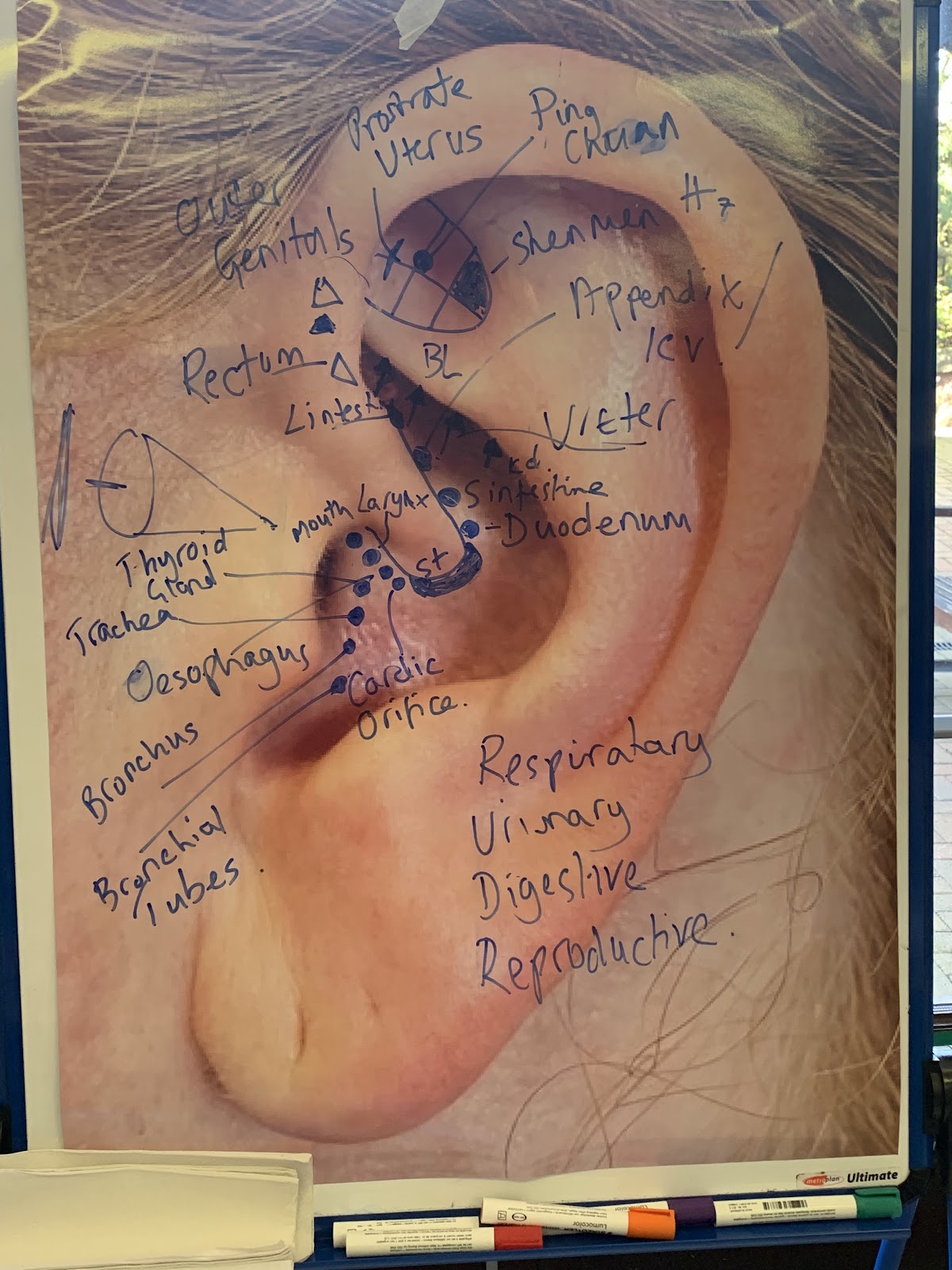 Willows Clinic — Dr.Visor photo 4