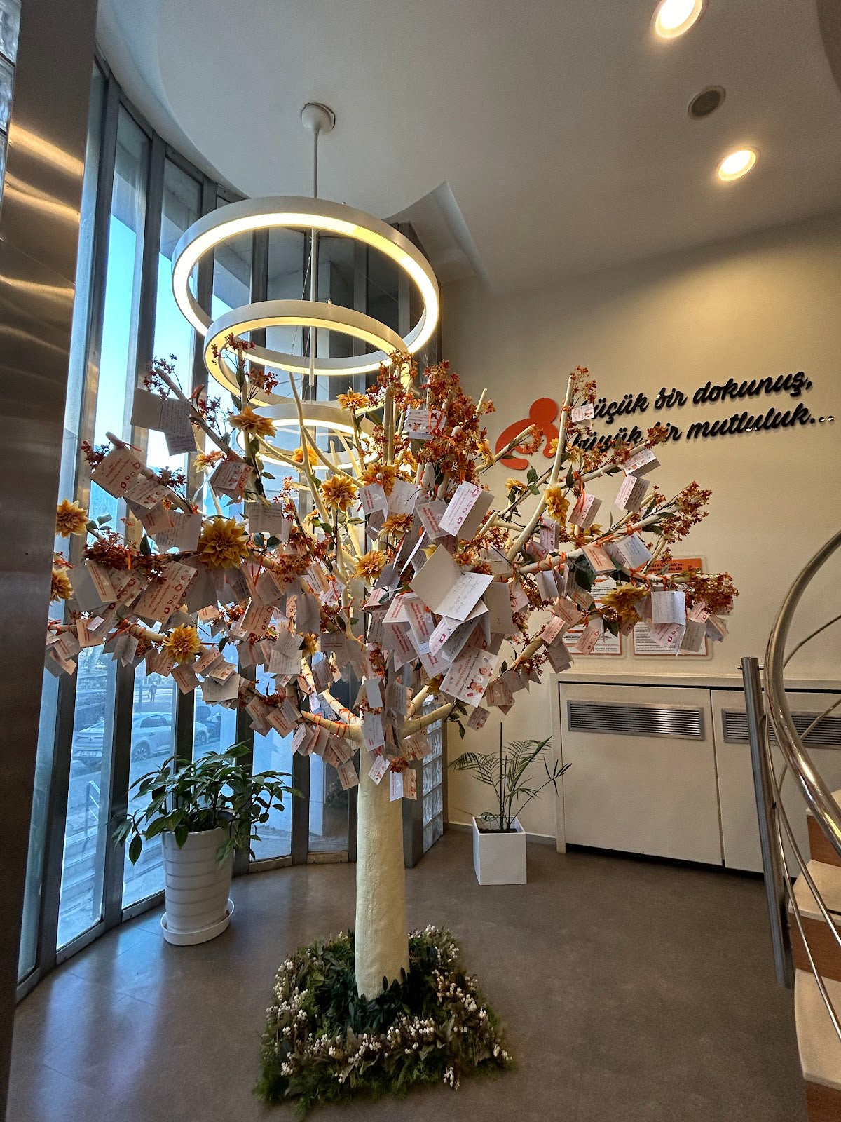 Oumnia Fertility Center — Dr.Visor photo 3