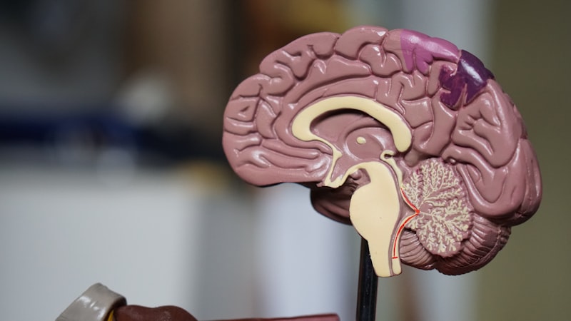 Dr. Russ Van Norman | Eye Clinic | Shreveport, LA
